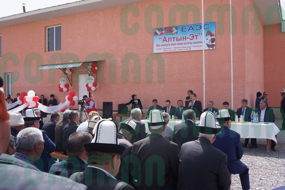 Цех ритуального убоя КРС до 40 голов/смену и МРС до 400 голо/смену с охлаждением. р. Кыргызстан. Джала-лабад