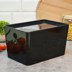 Контейнер для хранения 5,5л "Versa", прозрачно-черный