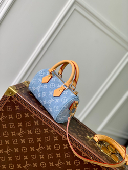 Louis Vuitton Nano Speedy