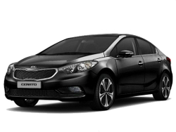 Упор (амортизатор) капота для Kia Cerato 3 (13-18) Autoinnovation.10-05