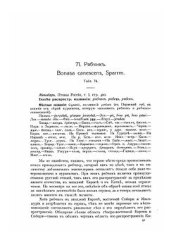 Охотничьи и промысловые птицы Европейской России и Кавказа. Том 2 | М. Мензбир