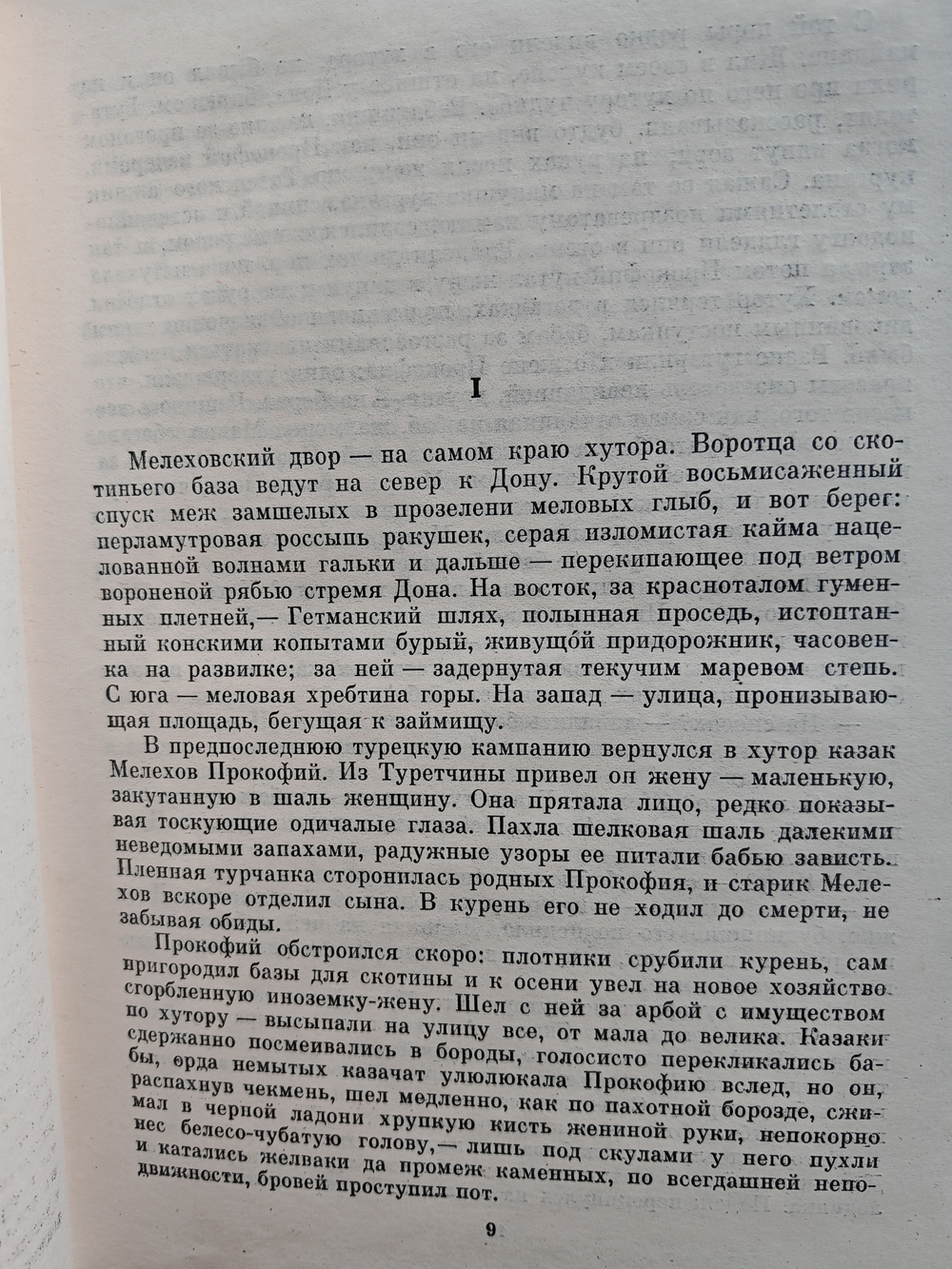 Тихий Дон (роман в четырёх книгах)