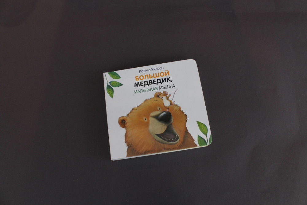 Большой Медведик, маленькая мышка