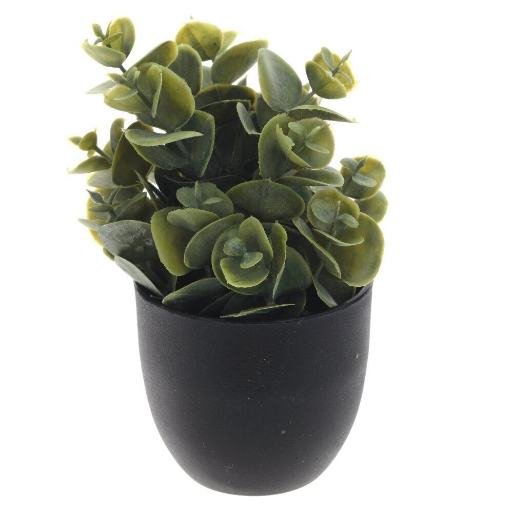 GAEM Цветочная композиция, L8 W8 H14 см