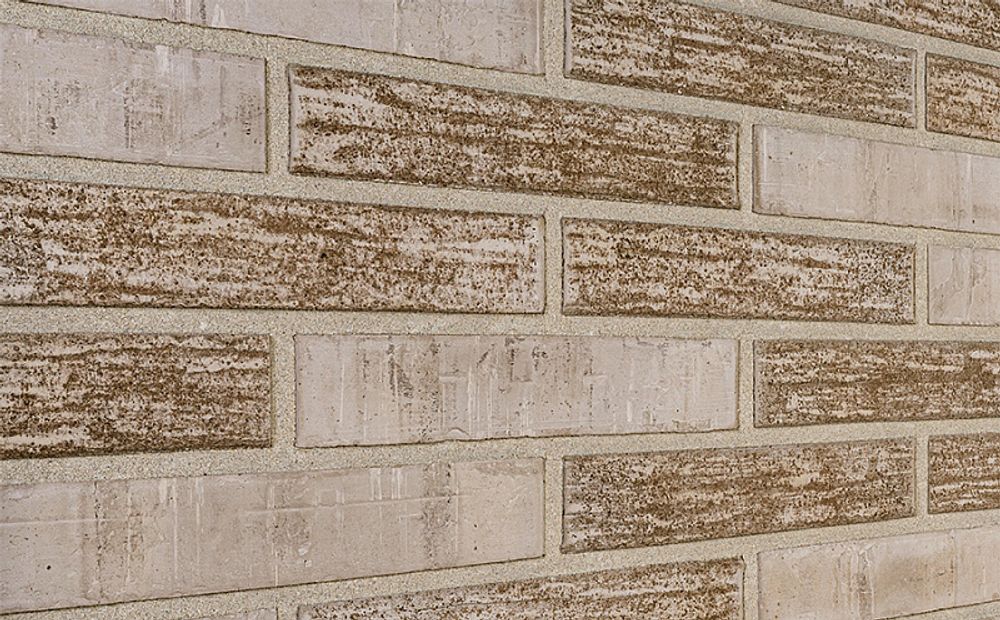 Кирпич облицовочный Plinfa Cassia 1809, 300x85x50