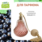 Смородина чёрная, отдушка для свечей и мыла