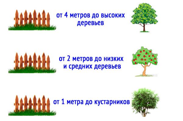 Правила высадки деревьев и кустов на участке