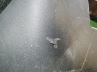 DSCN1506.jpg