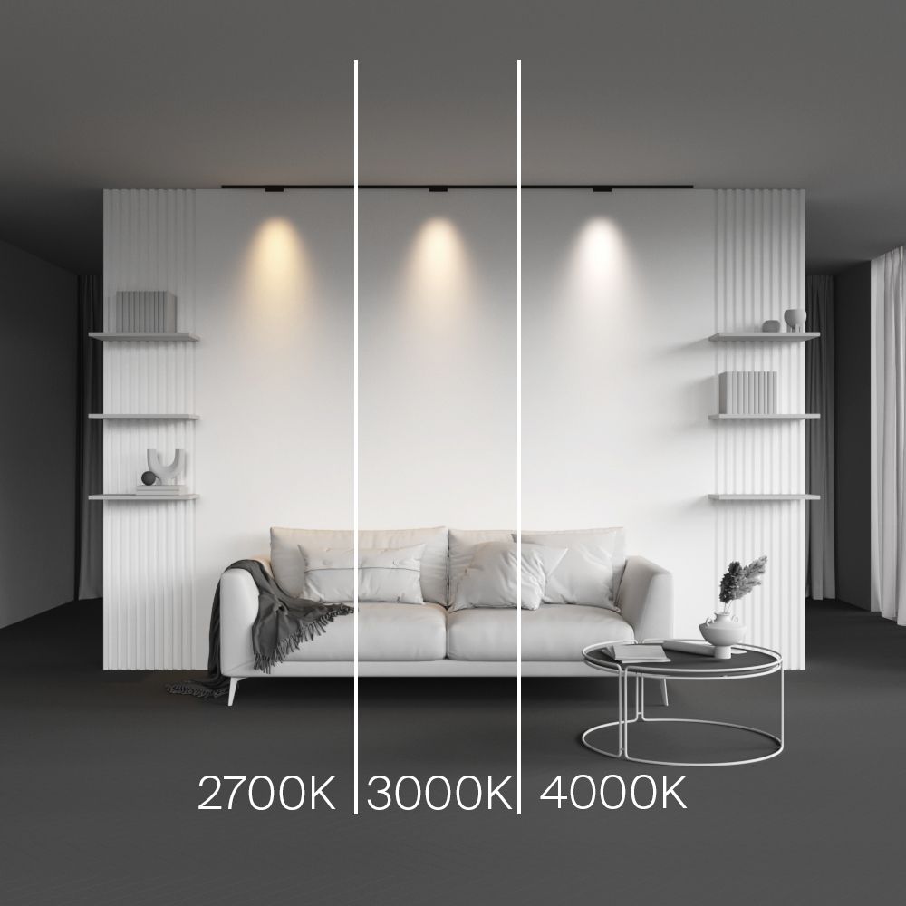 Трековый магнитный светодиодный светильник Maytoni Levity Points TR193-1-5W2.7K-M-B