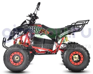 Электроквадроцикл WHITE SIBERIA SNEG PRO R 3000W фото 6 фото №8