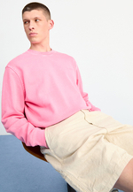 Carhartt WIP WALTER - Шорты - Бежевый