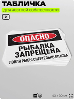 Табличка для частной территории "Опасно, рыбалка запрещена", на дом, для участка, организаций и частных территорий, предупреждающая, 40х30 см, Silver Plane x Айдентика Технолоджи