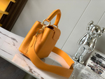 Louis Vuitton Capucines Mini