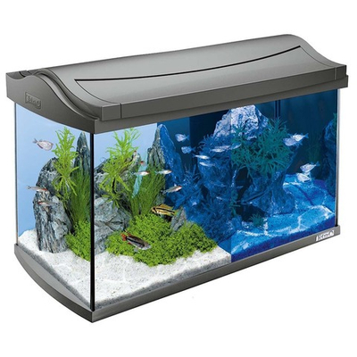 Tetra AquaArt Tropical LED 60 л (серый) - прямоугольный аквариум с LED светом и фильтром