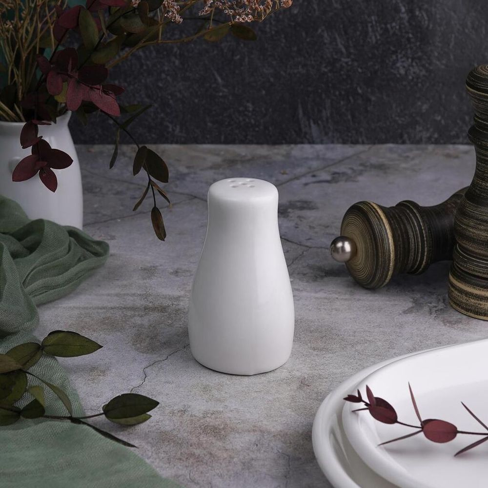 Солонка d 5 см h8,5 см белая фарфор NEW P.L. Proff Cuisine [1]