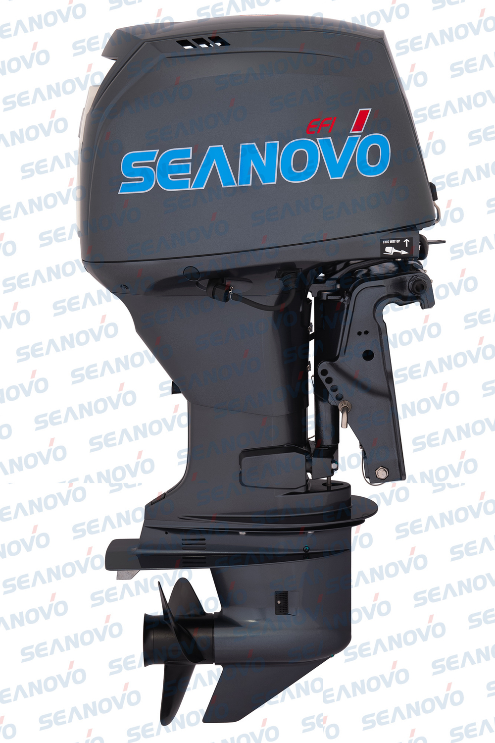 Лодочный мотор Seanovo (Сианово) SNEF 60 FVEL-T EFI
