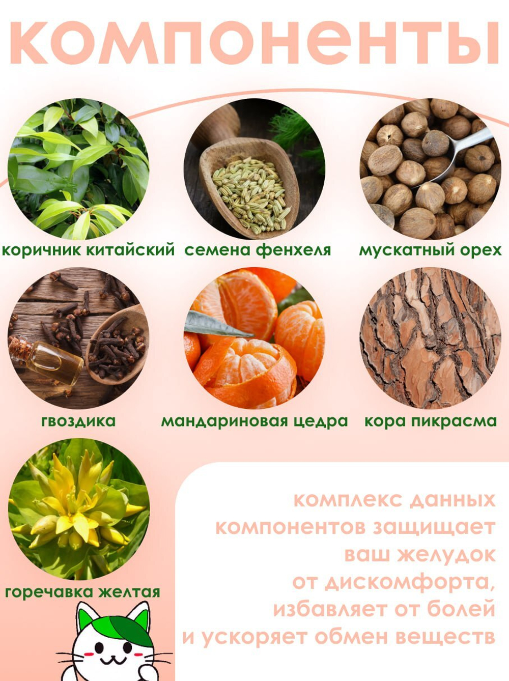 Исан Средство для желудка