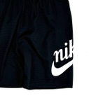 Шорты Nike SB