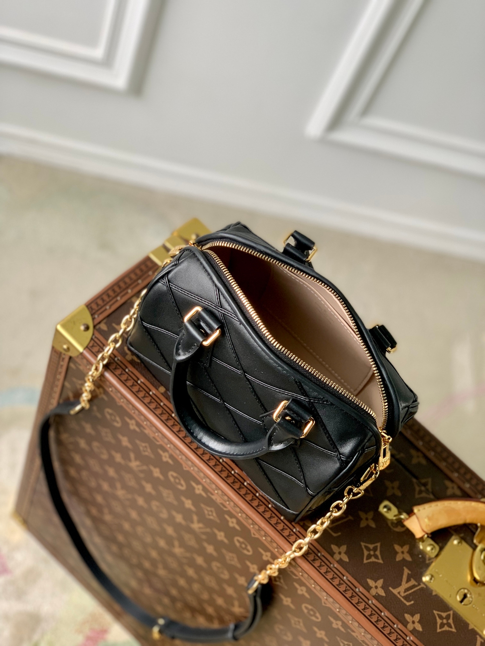 Louis Vuitton Speedy 20