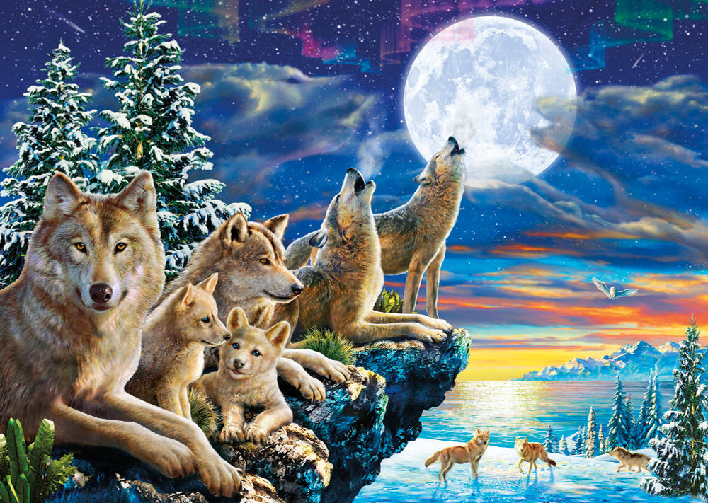 Коллекция Животные