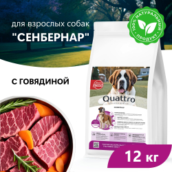 Корм сухой для взрослых собак породы Сенбернар, премиум полнорационный комплекс, с говядиной, 12 кг, QUATTRO