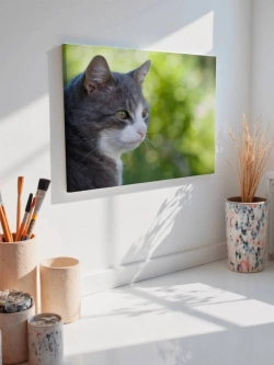 Картина на стену 40 X 50 Кот