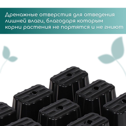 Кассета для рассады, 9 ячеек по 80 мл, пластик, чёрная, 18 × 13 × 6 см