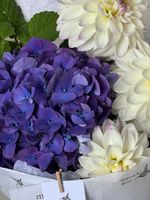 Кулек из гортензии и георгин