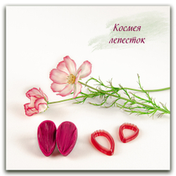 вайнер и каттеры лепестка космеи