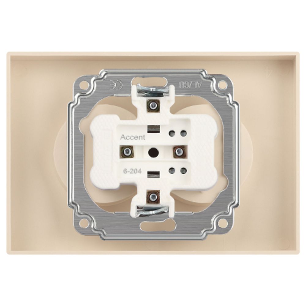 Розетка Intro Accent 6-204-02 двойная 2х2P 16А-250В IP20 СУ AL/CU слоновая кость | Intro