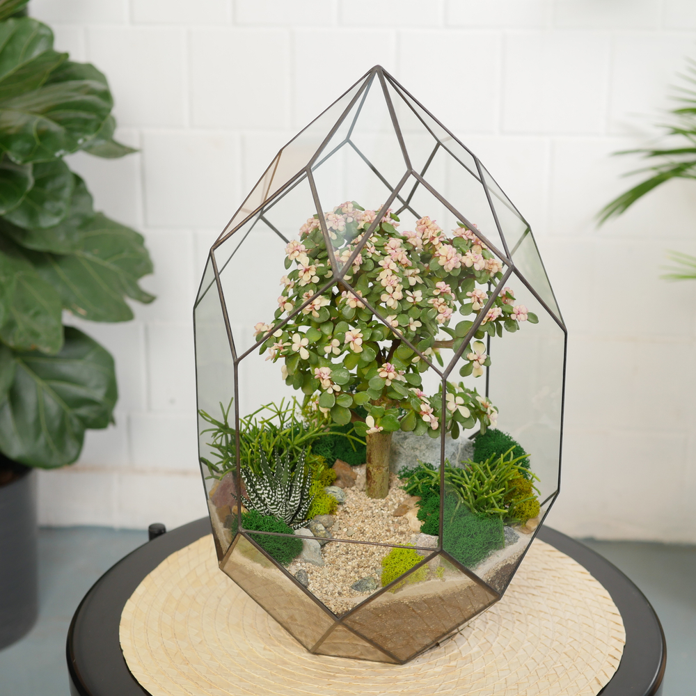 Готовый флорариум с суккулентами бонсай Цефей с озером