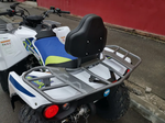 Квадроцикл PROMAX RENEGADE 280 (2025)