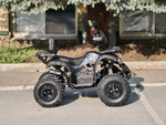 Lion 125 CC черный