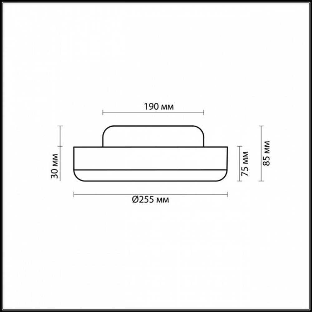 Накладной светильник Odeon Light 2177/1C