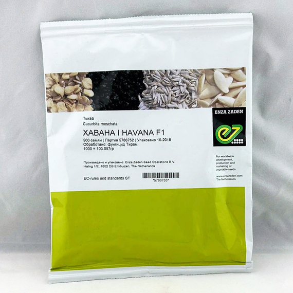 Хавана F1 семена тыквы (Enza Zaden / Энза Заден) – фото 2