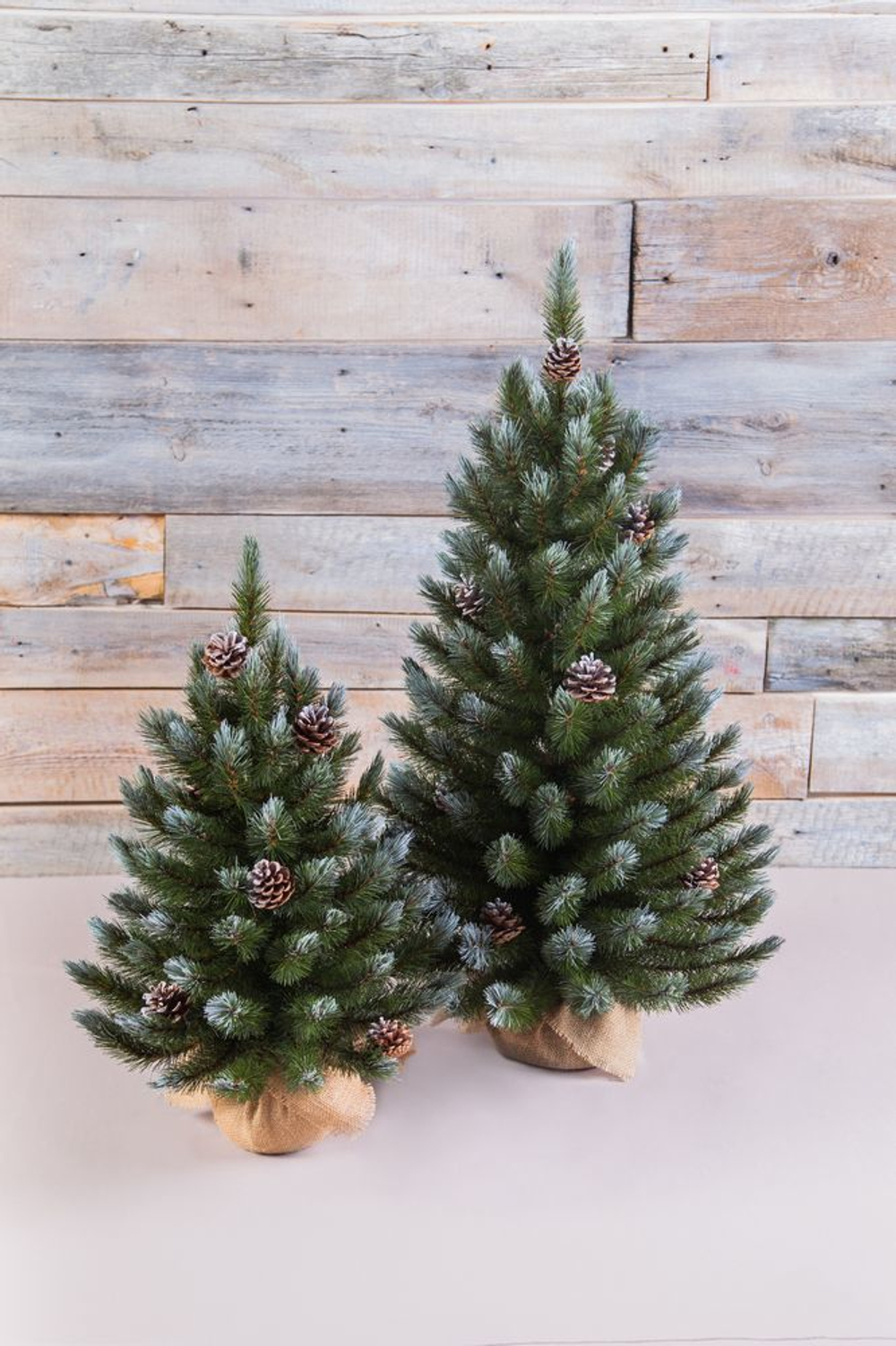 Ель Женева 90см с шишками в мешочке заснеженная Triumph Tree