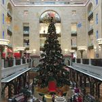 Светодинамическая елка ствольная - встроенная гирлянда: Теплый свет - "Таежная" от 11 до 21 м