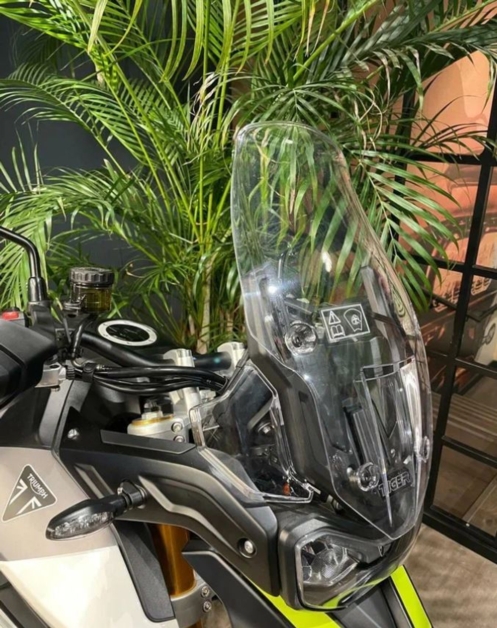 Tiger 900 Rally Aragon Edition