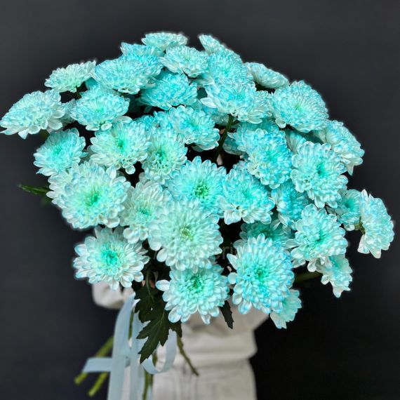 Букет из голубой хризантемы