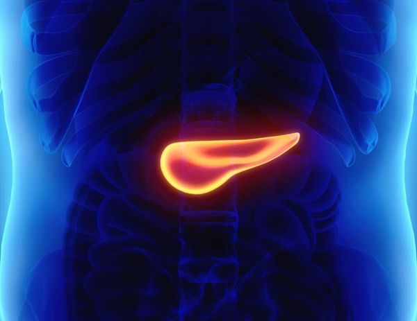 Можно ли полностью вылечить диабет? Ученые сказали – можно!