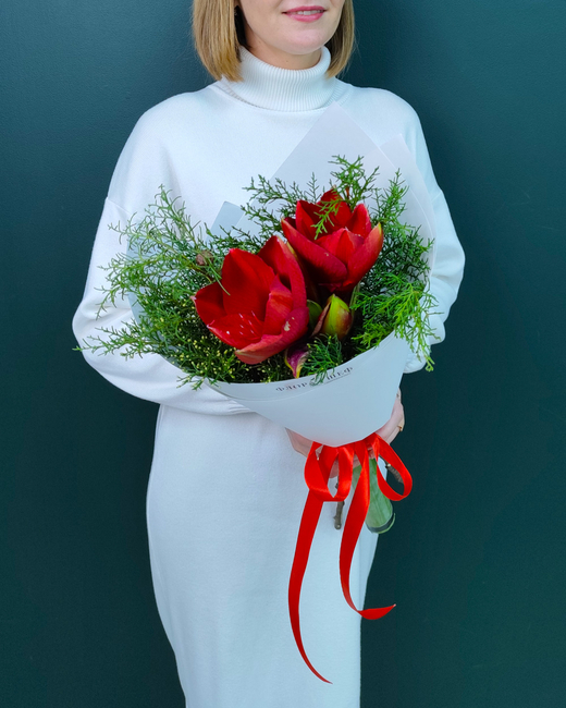 Новогодний букет из амариллиса и кипариса(00404)