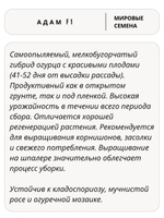 Семена огурцов Адам F1, 7 семян (Vita Green / Вита Грин)