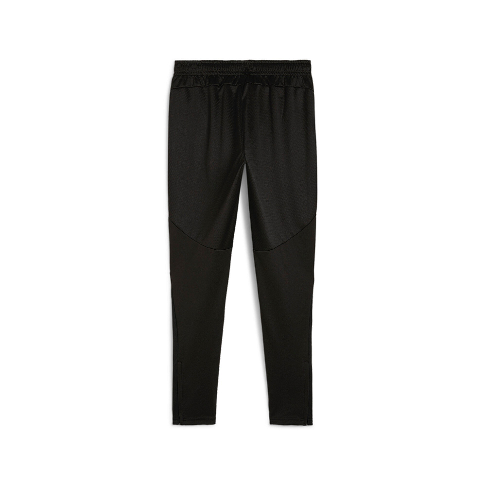 Мужские брюки PUMA teamFINAL Training Pants