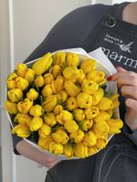 Тюльпаны классика - желтый цвет
