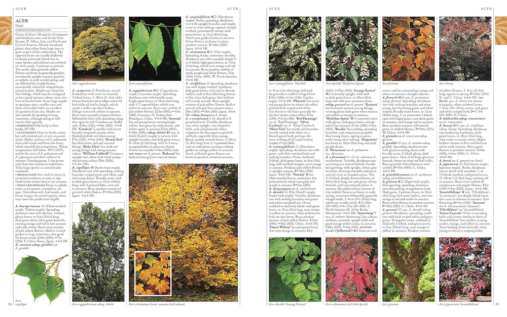RHS A-Z Encyclopedia of Garden Plants 4th edition