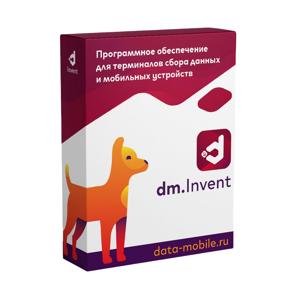 DataMobile DM.Invent