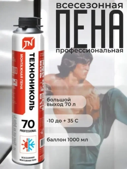 Пена монтажная профессиональная всесезонная Технониколь 70