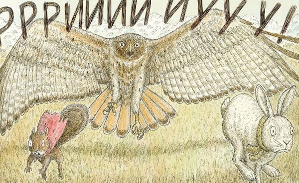 Белка Ёлочка