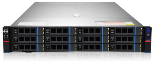 Серверная платформа 2U Gooxi SR201-D12R