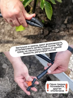 Капельный полив 60 растений от ёмкости с таймером